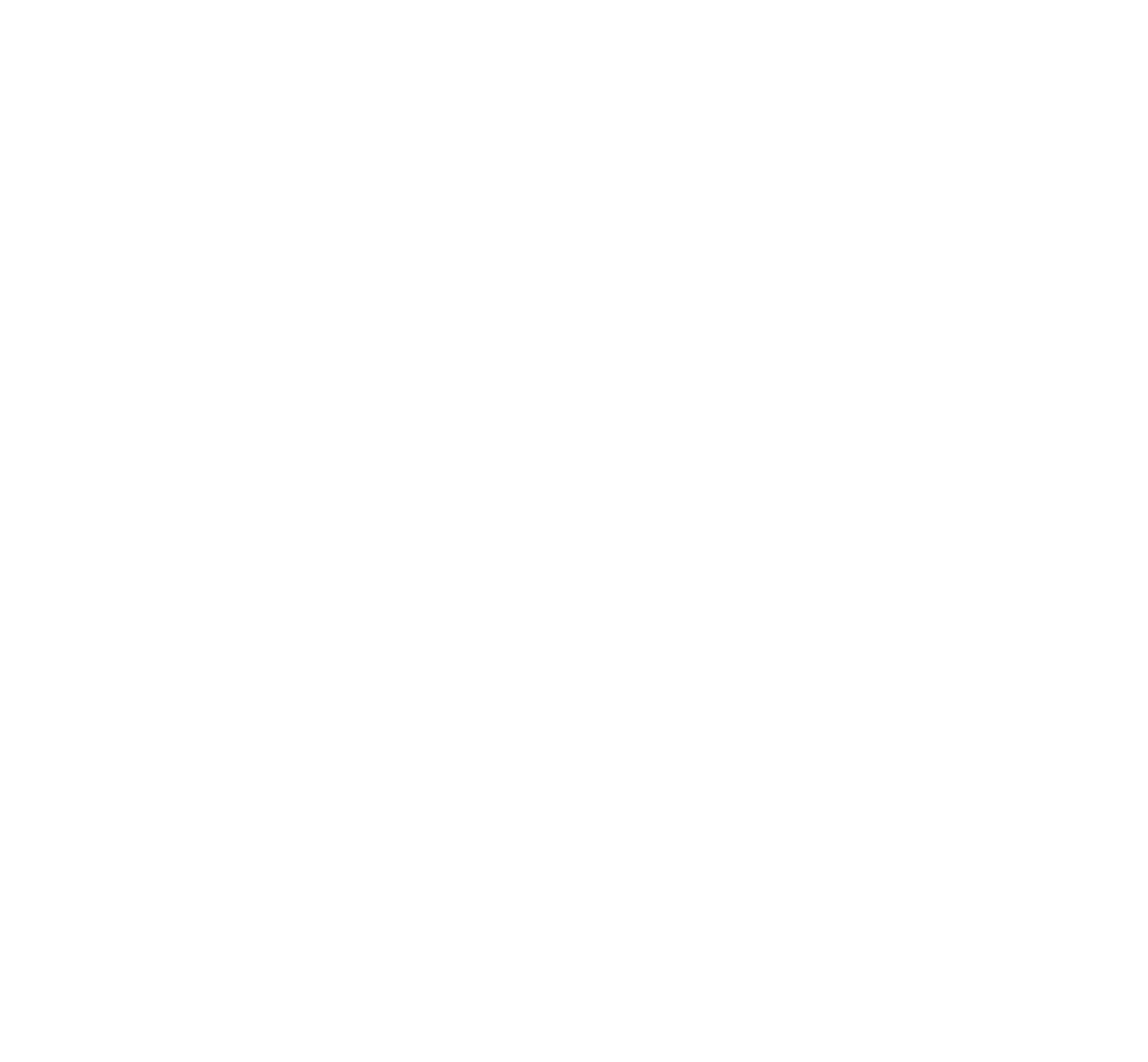 Patrick Will Logo White